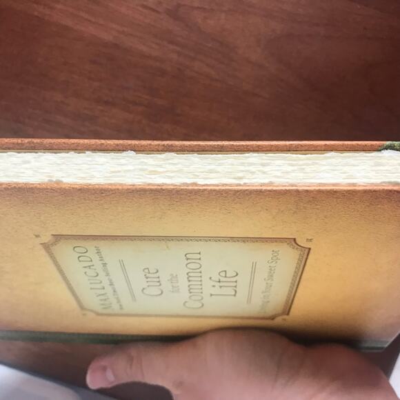 Max Lucado Cure For The Common Life 2005 Hardcover Inspirational Christian Book - Picture 2 of 6